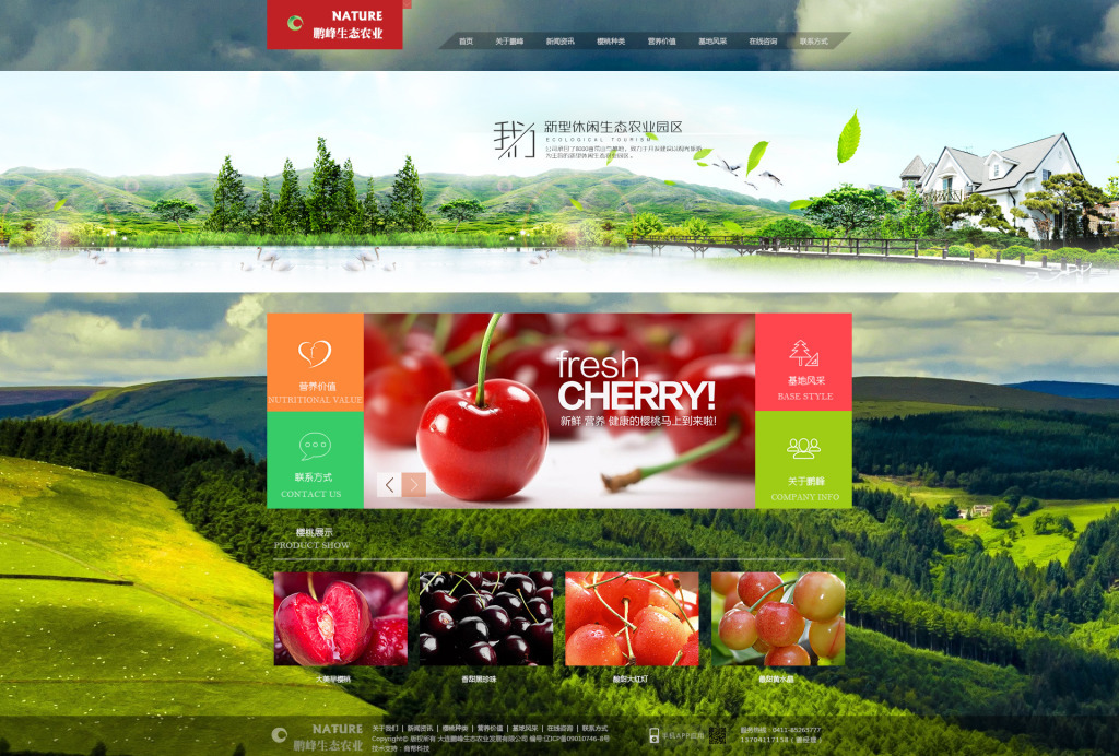 櫻桃網(wǎng)站設(shè)計(jì) 構(gòu)建視覺(jué)誘人與功能并重的在線空間